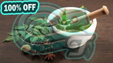 100% Free Coupon Advanced Certification in Ayurveda: Master Core Principles