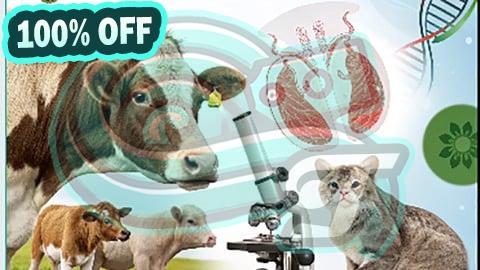 100% Free Coupon Animal Reproduction: Anatomy, Physiology, and Biotechnology