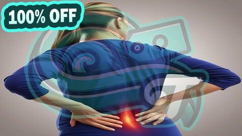 100% Free Coupon Back pain  between fact and fiction