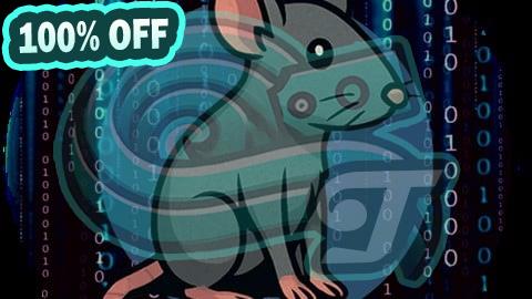 100% Free Coupon CAPIE - Certified API Hacking Expert Course Content