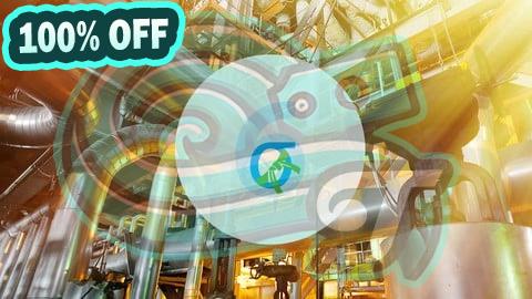 100% Free Coupon Certifié Ceinture verte en Lean Six Sigma