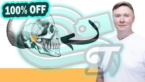 100% Free Coupon Das Kiefergelenk verstehen - Werde dein Kiefercoach