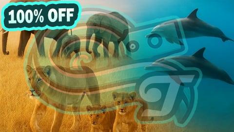 100% Free Coupon Etholog in actiony: How Animals Think & Survive in the Wild