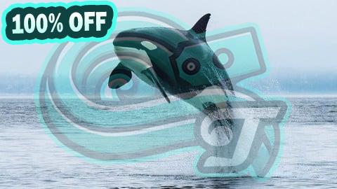 100% Free Coupon Formation Orcaflex pour débutants/étudiants/Ingénieurs