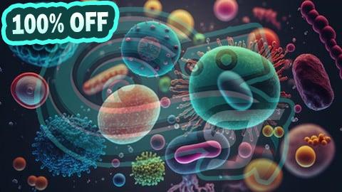 100% Free Coupon Foundations of Bacteriology: Understanding Microbial Life