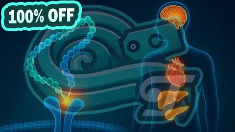 100% Free Coupon GLP-1 & GIP Drugs:Ozempic, Wegovy-Obesity & Diabetes Therapy