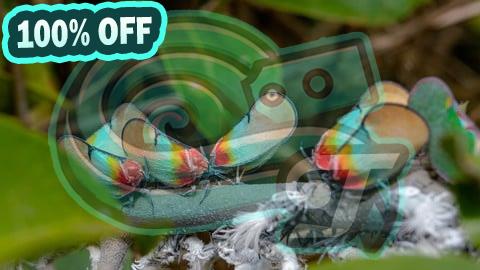 100% Free Coupon How to Transform Your Life - practical ways