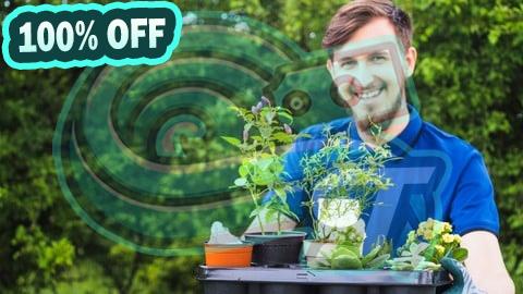 100% Free Coupon Hydroponics & Horticulture: Modern Farming Techniques 101