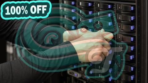 100% Free Coupon IP Addressing and Subnetting - Hands-on Learning Approach