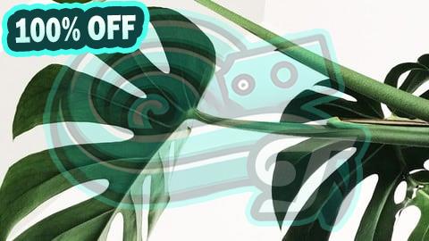 100% Free Coupon Learn Classroom Leadership That Works