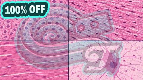 100% Free Coupon Mastering Histology: Microscopic Anatomy Made easy