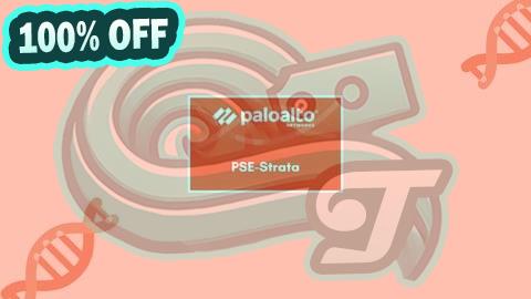 100% Free Coupon Palo Alto Networks PSE-Strata System Engineer Practice Exams