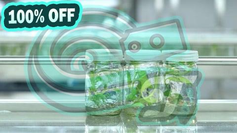 100% Free Coupon Plant Cell & Tissue Culture Course