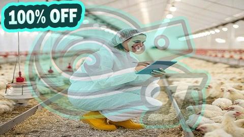 100% Free Coupon Profitable Broiler Farming: Step-by-Step Guide