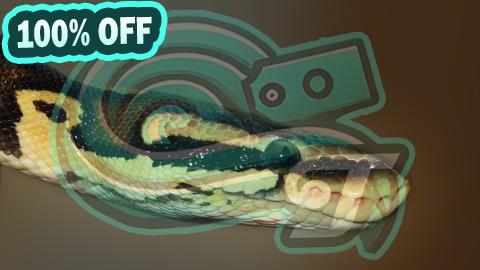 100% Free Coupon Python Development First Steps and Development IDE Platform