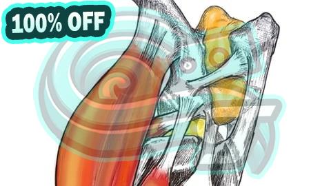 100% Free Coupon Región femoro tibio rotuliana, anatomia, biomecanica y casos