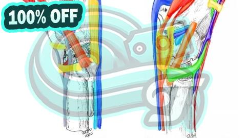 100% Free Coupon Tarso equino, anatomia, biomecánica y casos clínicos