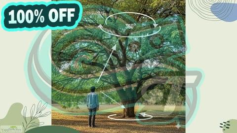 100% Free Coupon Tree Risk Inspection Basics: Assessing for health and safety