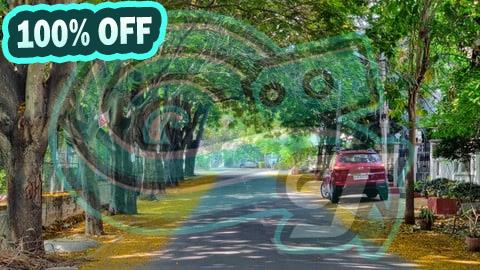 100% Free Coupon Urban Tree Planting